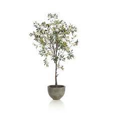 ☆ choose quality fake potted related tags : Potted Olive Tree Crate Barrel Eclectic Decorative Object Faux Olive Tree Olive Tree Potted Olive Tree