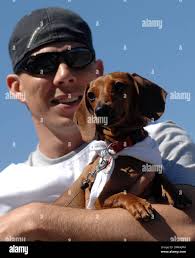 Chien benny Banque de photographies et d'images à haute résolution