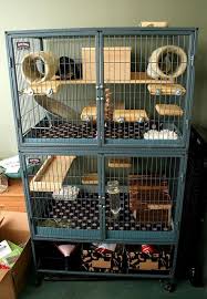 Breathtaking 26 Rat Cage Accessories Https Meowlogy Com 2018 02 21 26 Rat Cage Accessories Rats Are Extreme Ferret Cage Chinchilla Cage Rat Cage Accessories
