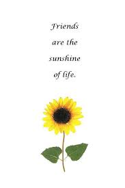 Friendship Bookmarks Set Of 4 Pressed Flower Bookmarks Etsy In 2020 Small Friendship Quotes Sunflower Quotes Friendship Words