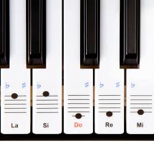 Use our free online english lessons, take quizzes, chat, and find friends and penpals today! Keysies Do Re Mi Solfege Transparent Plastic Removable Piano And Keyboard Note Stickers Plus Handy Placement Guide Buy Online In Haiti At Haiti Desertcart Com Productid 49302654