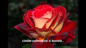 We did not find results for: La Multi Ani Youtube