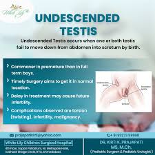 Image result for Undescended Testicle