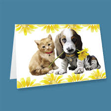 What to write in honor of when donation in their name. Memorial Gifts Tribute Donations Send A Card Aspca