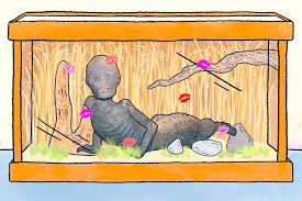 Check spelling or type a new query. Jake The Alligator Man The History Of Long Beach S Unofficial Mascot Thrillist