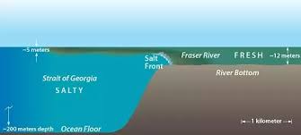 Where The Atlantic Ocean And The Pacific Ocean Meet What Prevents Salt Water From Mixing With Fresh Quora Here are some systems you may want to consider. the pacific ocean meet
