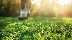 The best measure for determining how often to water your lawn is to check the lawn itself. Lawn Mowing Aeration Leaf Removal Power Raking Colorado Springs Co