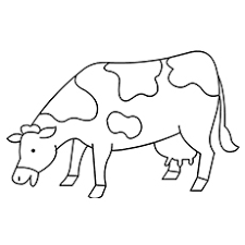 You can download or print now this coloring pages of in 600x777 resolution and 53.22 kb. Top 15 Free Printable Cow Coloring Pages Online