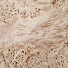 Image result for Millettia stuhlmannii