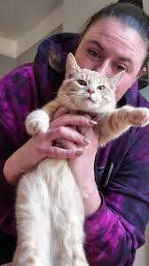 She’s been over my shenanigans for about 4 years now…. #ragdollcat  #catsoftiktok