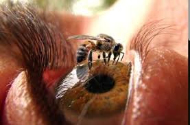 If you get blind or cystic pimples a few times a year, dr. Want To Get Blind That S How To Get Blind 9gag