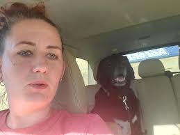 This dog look familiar to anyone