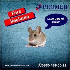 Fare Ilaclama 2020 Fareler Bocek