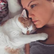 Concerns about dog walker safety with multiple dogs