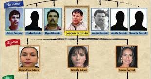 In the whole world he is known as the ceo of sinaloa or the lord of the mountains. Pin On Teaching Spanish K 12