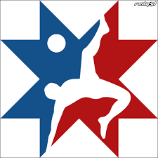 El escudo de armas de la república de chile o escudo nacional de chile es el emblema heráldico que representa oficialmente a dicho país. Crece Polemica Por Finalistas Del Concurso Para Elegir El Nuevo Logo De La Seleccion Chilena Redgol
