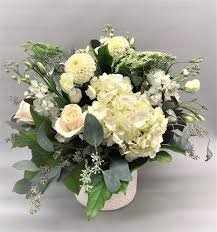 Mario Orsi Obituary October 1, 2024