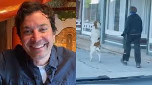 Jimmy shares some of his favorite uplifting viral videos for another  edition of What Are You Doing Wednesdays.