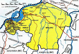 Image result for Millettia eetveldeana