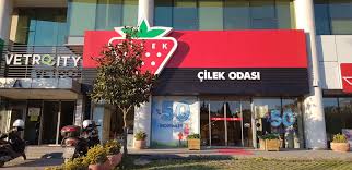 Cilek Mobilya Beylikduzu E5 Cocuk Odasi Firmalari Barbaros Hayrettin Pasa Mah 1992 Sok Esenyurt Istanbul Turkiye Yandex Haritalar