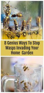 Keep on top of house repairs. 8 Genius Ways To Get Rid Of Wasps Keep Them Away