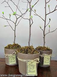 I Love This Idea For Tu B Shevat Tree Centerpieces Jewish Holidays Jewish Holiday Gifts