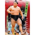 伯乃富士哲也