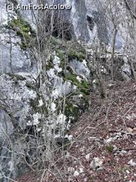 Era cel mai vizitat loc din judeţul nostru. Poze Cascada BigÄƒr Cheile Nerei Bozovici Cs Amfostacolo