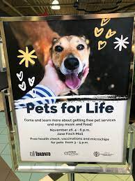 Check spelling or type a new query. Humane Society International Canada Toronto Animal Services Debut Canadian Pets For Life Program In Jane And Finch Neighbourhood Humane Society International