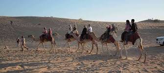 Enjoy a sunset falcon show in the sand dunes. Morning Desert Safari Dubai Dune Bashing Camel Riding Quad Biking