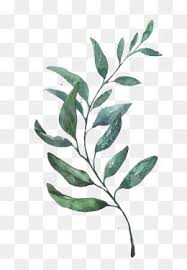 Watercolor Clipart Leaf Green Leaf Autumn Watercolor Decorate Cartoon Hand Green Watercolor Clipart Leaves Cl Watercolor Leaves Watercolor Clipart Leaf Drawing
