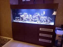 Aquarium air laut memerlukan perawatan khusus, anda bisa membersihkannya sebagaimana ketika membersihkan aquarium air tawar dengan menggunakan beberapa bahan tambahan. Java Reef Set Up Pelindo Aquarium Ruko Lautan