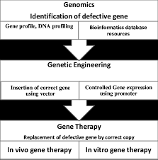 Flow Chart Illustrate The Role Of Genetic Engineering And