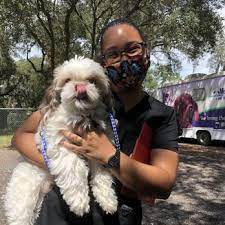 Harmony veterinary care is a veterinary company based out of 832 hope st, prescott, az, united states. Harmony Vet Care Of Brandon 14 Photos Veterinarians 3301 John Moore Rd Brandon Fl Phone Number