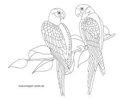Dibujos De Loros Para Colorear