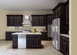 Kitchen Cabinet Door Styles Wood Cabinets Nashville Tn Birch Kitchen Cabinets Semi Custom Kitchen Cabinets Kitchen Cabinet Door Styles
