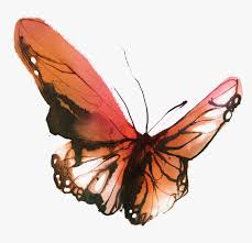 Check spelling or type a new query. Pretty Butterfly Tattoos Watercolour Small Watercolor Butterfly Tattoo Hd Png Download Kindpng