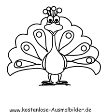 Ausmalbild Pfau 1 Zum Ausdrucken
