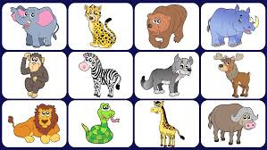 Liar liar, pants on fire! Video Touch Wildlife Android Apps Appagg