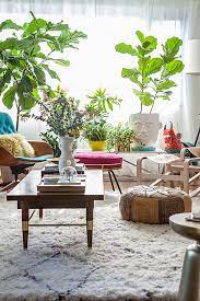 How to arrange a living room with a bay window: 20 Unforgettable Indoor Plant Displays Ideas