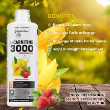 triple strength l carnitine benefits Triple Strength L-Carnitine Liquid 450 ml