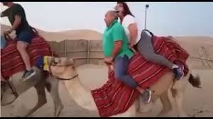 Love was when i loved you one true time i hold to in my life we'll always go on. A Fat Couple Almost Kills A Poor Camel Youtube