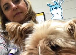 TrainPetDog Customers Speak