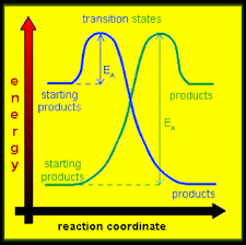If you are searching for information on the formula of cellular respiration equation, the following biologywise article will prove to be useful. Photosynthesis Cellular Respiration And Atp Standards 18 7 18 8 18 9 And 18 10 Diagram Quizlet