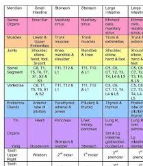 Acupuncture Meridian Chart Acupuncture Charts And Posters