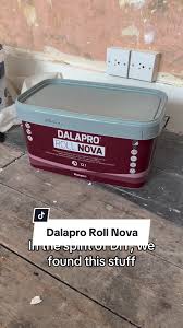 DIY Victorian Renovation: Skimming Walls with Dalapro Roll Nova