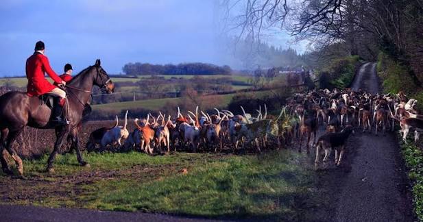 SMOKESCREEN SATURDAY': the sham that is 'national trail hunting day'