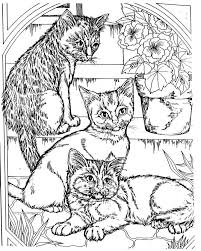Cats are the most popular pets in the world after the fishes, but before the dogs. Free Cat Coloring Pages For Adults Coloring And Drawing