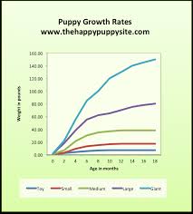 51 Right Dog Growth Chart Puppy