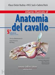 Maybe you would like to learn more about one of these? Libri Di Anatomia Animale In Medicina Veterinaria Hoepli It